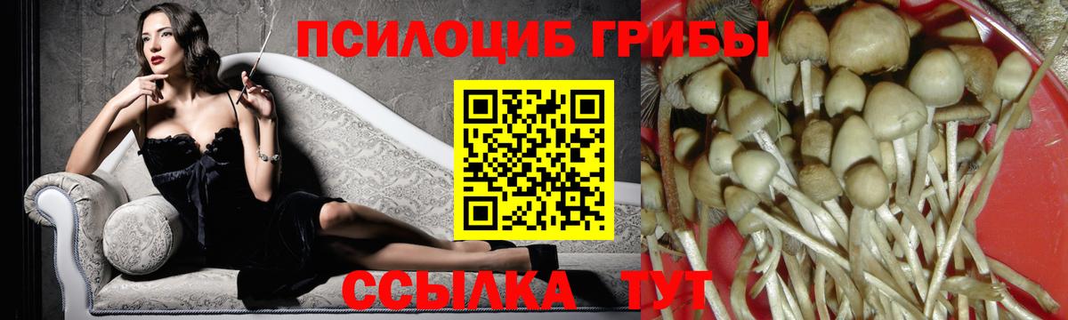 Псилоцибиновые грибы ЛСД  Галлюциногенные грибы Magic Shrooms  Лабинск  Вход с VPN 